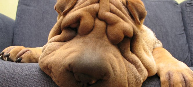 Everything You Need To Know About Loose Skin And Weight Loss